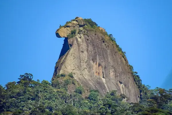 Pico do Papagaio visto entre a Mata Atlântica em Ilha Grande