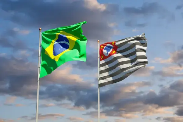 bandeiras do estado de São Paulo e do Brasil