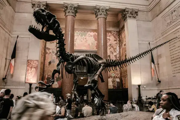 Esqueleto de dinossauro no saguão do Museu de História Natural de Nova York