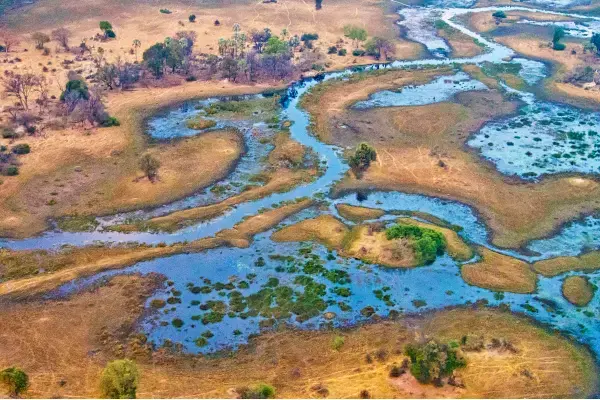 delta do akavango
