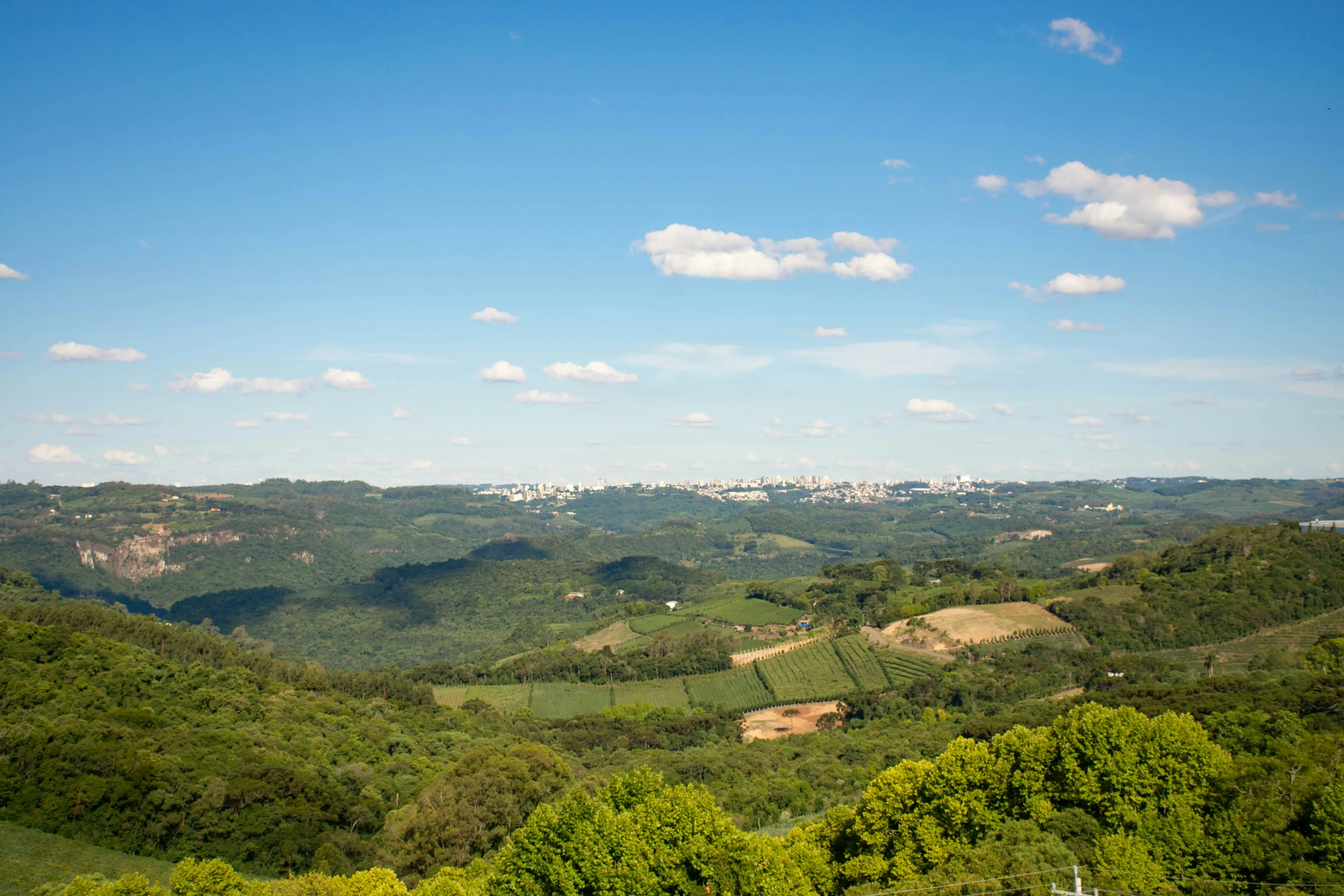 arvores verdes e montanhas sob o céu azul durante a luz do dia