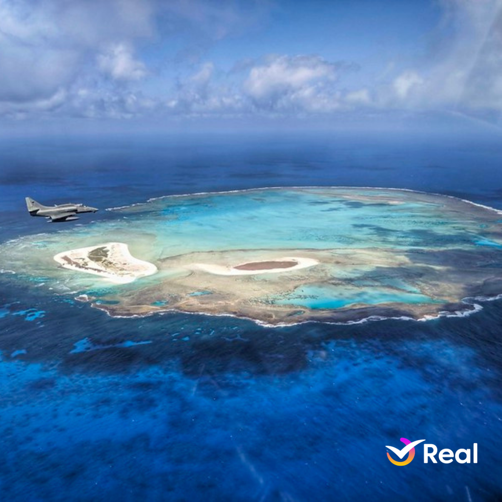 imagem capa do post Atol das Rocas: Por que é proibido para turistas?