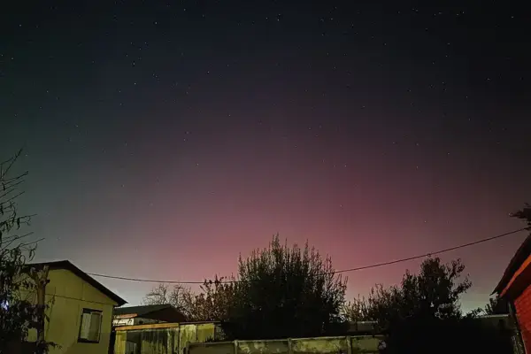 Vista noturna de um quintal residencial sob um céu estrelado que exibe um brilho atmosférico em tons de rosa e roxo acima da silhueta de árvores e telhados de casas.