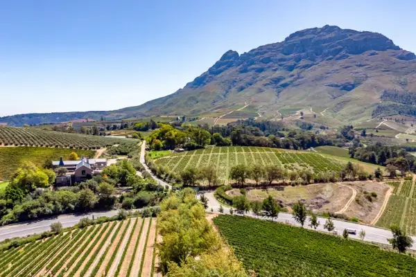 Vinícolas em Stellenbosch