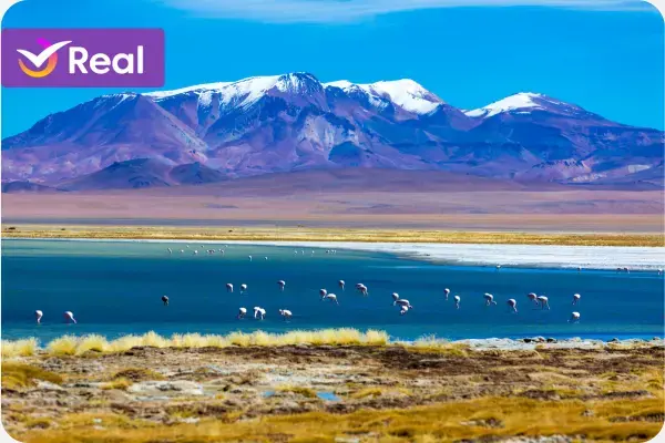 paisagens surreais do Atacama