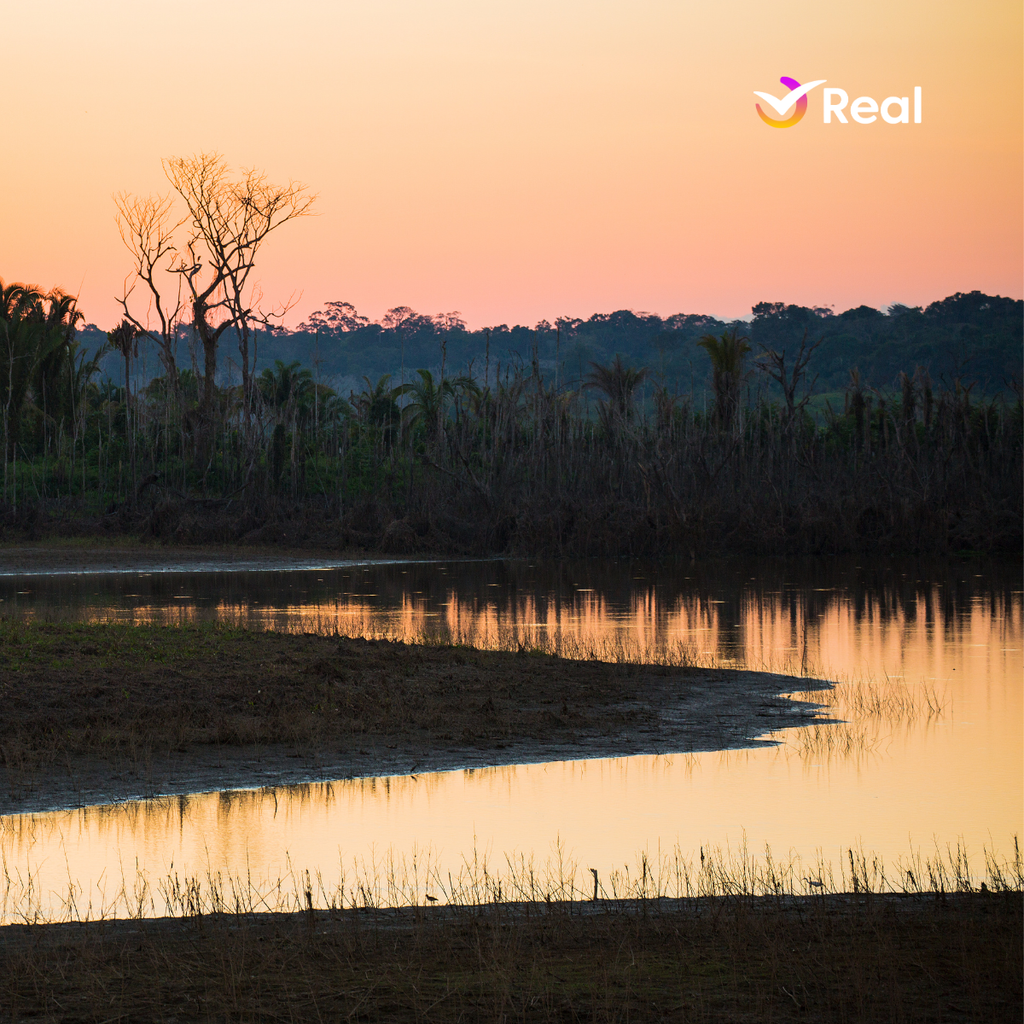 imagem capa do post O que fazer em Rondônia: atrações, melhor época e dicas!