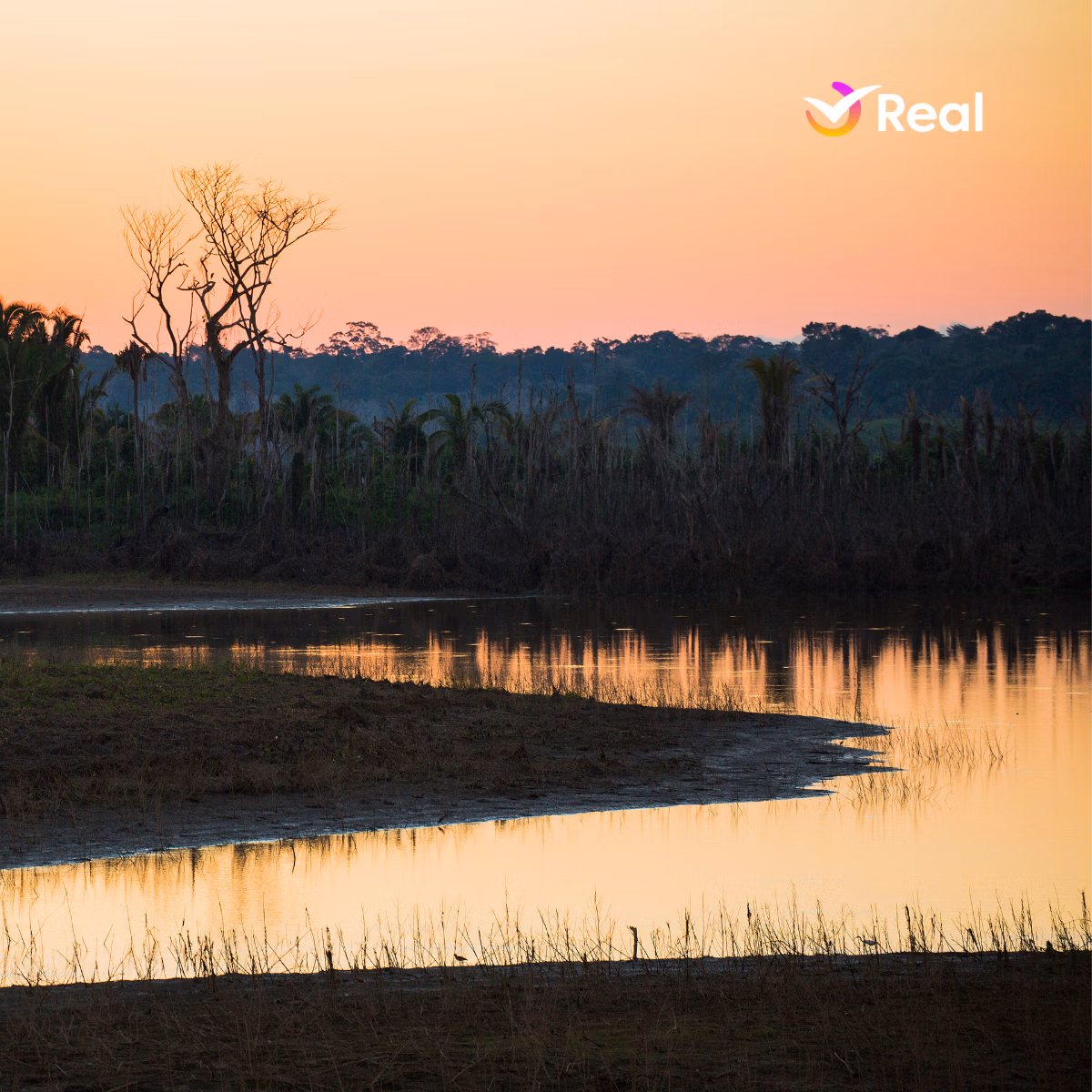 imagem de capa da publicação O que fazer em Rondônia: guia completo com atrações, roteiros e informações!