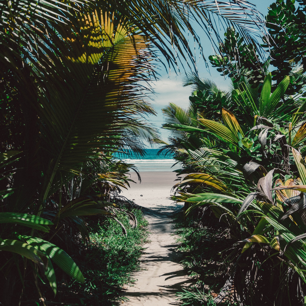 imagem capa do post O que fazer em Itacaré: curta o paraíso do Surf em 3 dias!