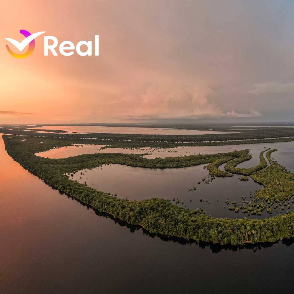 imagem capa do post Anavilhanas, Amazonas: dicas de roteiro
