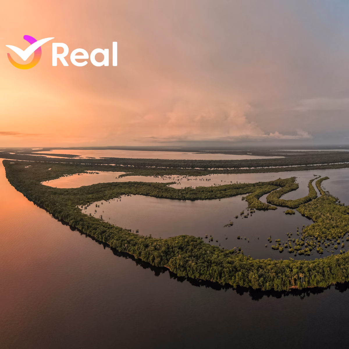 imagem de capa da publicação Anavilhanas, Amazonas: Um Destino Amazônico Único