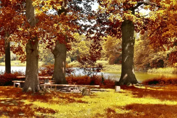 Parque com árvores e folhas alaranjadas no outono europeu.