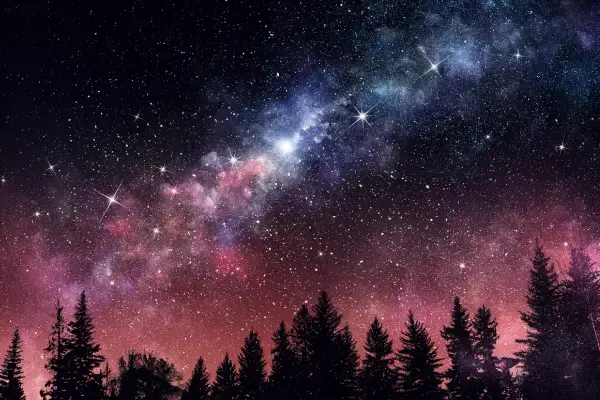 Céu estrelado em tons rosados sobre floresta de coníferas