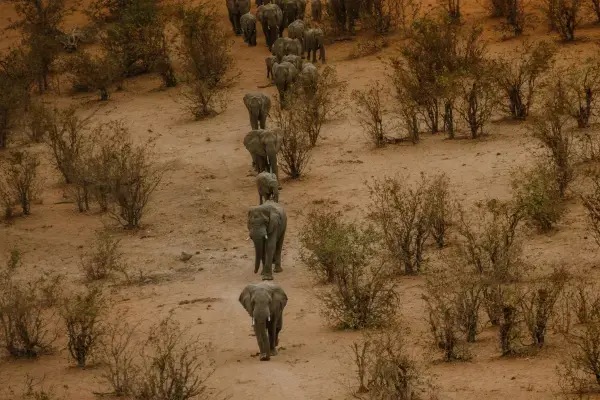 Hwange National Park, Zimbabwe (Fonte: Unsplash)