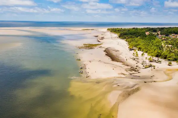 Vista aérea da Ilha de Marajó mostrando praias extensas, encontro de águas e vegetação costeira no Pará.