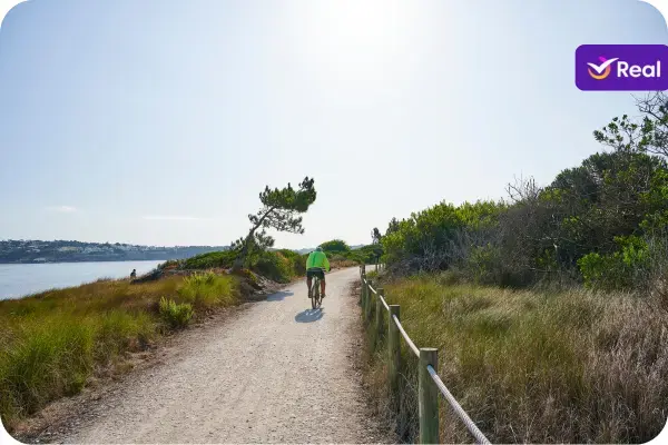 Homem andando de bicicleta em uma trilha costeira cênica, com vista para o mar e vegetação nativa. O dia está ensolarado, ideal para ciclismo e atividades ao ar livre na natureza.