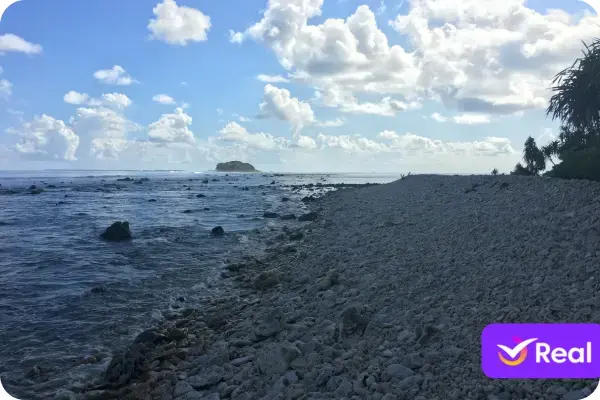 Este é o único atol do Atlântico Sul. A barreira de corais, construída ao longo de milhares de anos, protege uma lagoa interna que serve de berçário para incontáveis espécies marinhas.
