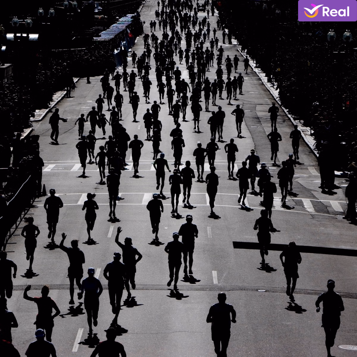 imagem de capa da publicação World Marathon Majors 2026: Guia completo para corredores brasileiros