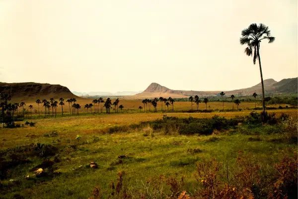 Vista paisagem Chapada dos Veadeiros