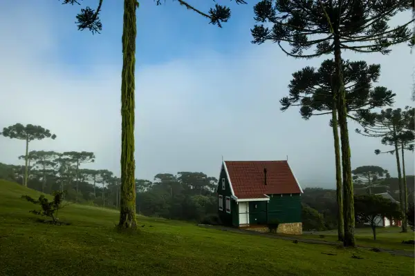 Chalé entre araucárias com neblina no inverno da Serra Gaúcha, Rio Grande do Sul