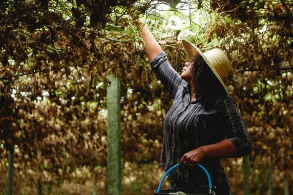 Mulher trabalhando no campo