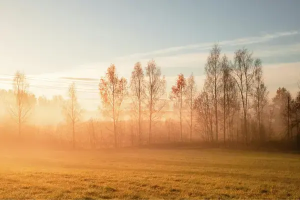 Paisagem de por do sol da Letônia