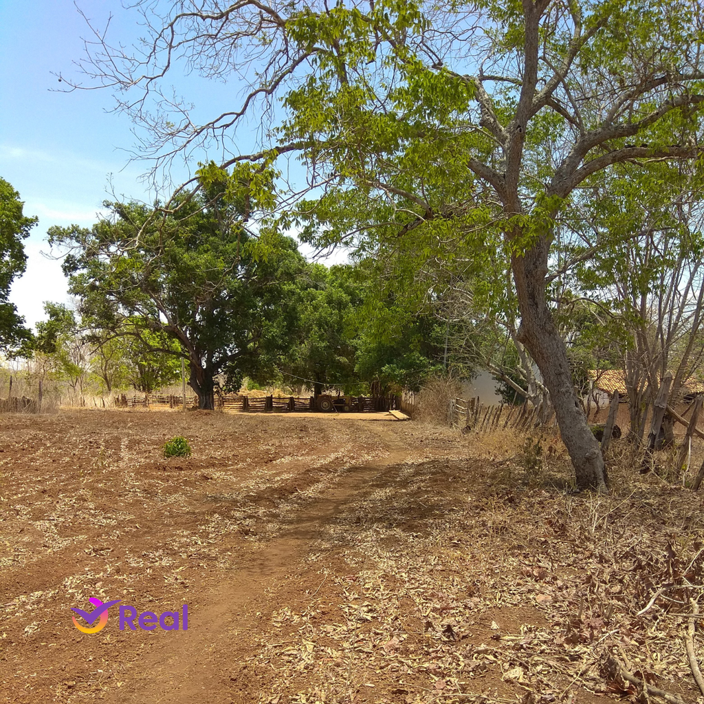 imagem capa do post Chapada do Araripe: Natureza, História e Aventura!