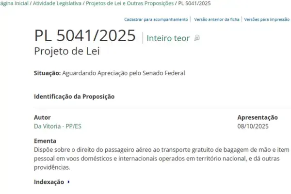 Lei escrita sobre bagagem de mão