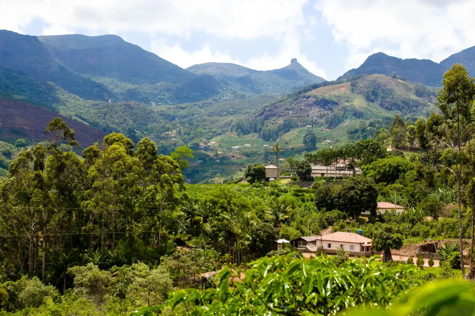 pico do boné - araponga/mg