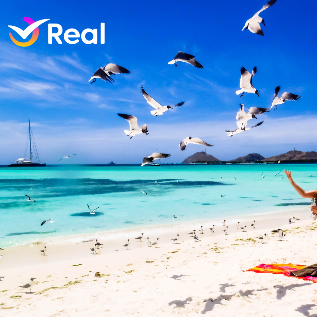 imagem capa do post Los Roques: Explore o Caribe Venezuelano!