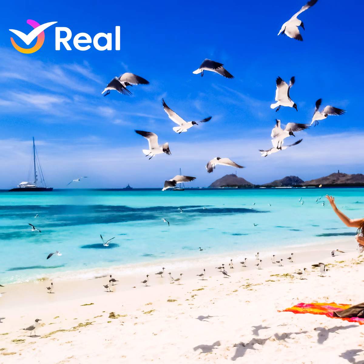 imagem de capa da publicação Los Roques: um refúgio no Caribe Venezuelano