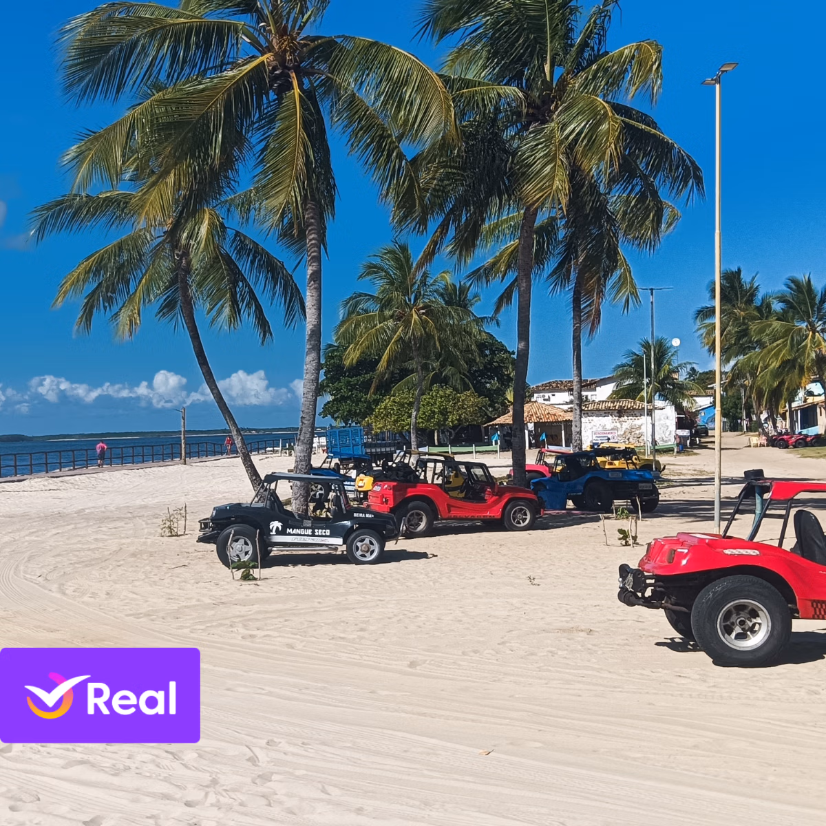 imagem de capa da publicação Ilhéus, Bahia: Guia de Viagem com Roteiros, Praias e Dicas de Segurança