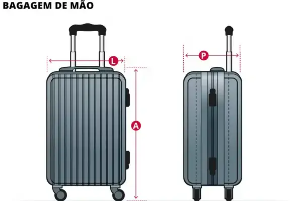 bagagem de despache regras