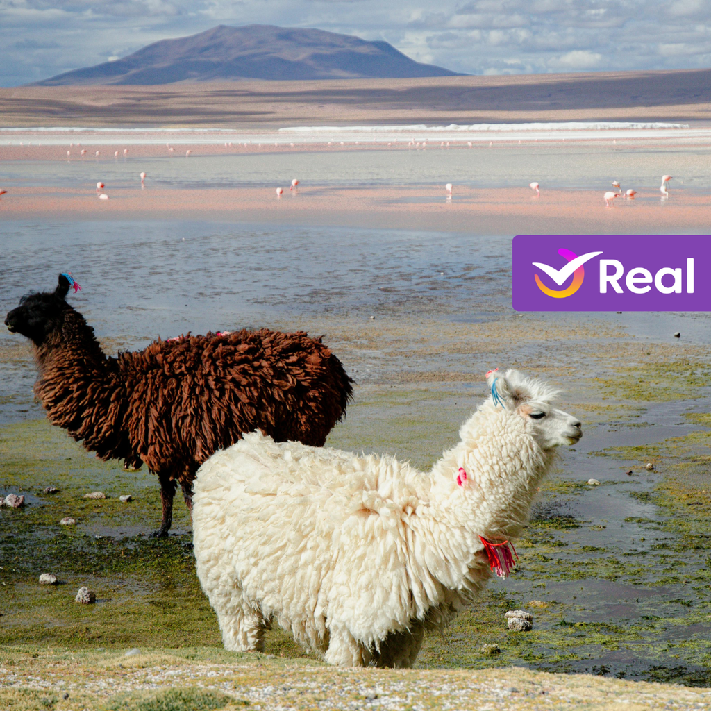 imagem capa do post O que fazer na Bolívia: conheça os pontos turísticos!