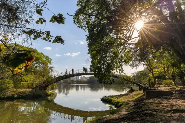 Ponte curva sobre um lago no Parque Ibirapuera, em São Paulo, com pessoas caminhando. A cena é rodeada por árvores e vegetação, e o sol brilha através das folhas no canto direito da imagem.