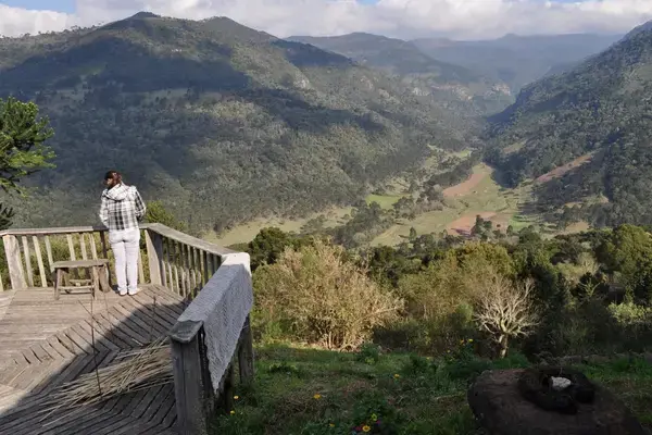Araucárias e campos de altitude sob neblina na Serra Catarinense perto de Urupema