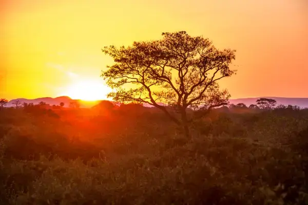 Por do sol no Pantanal mato-grossense