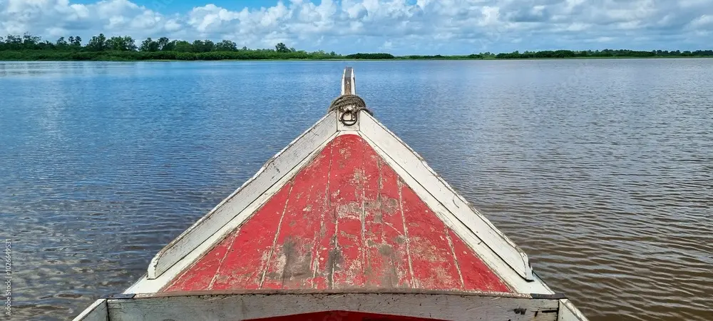 Barco catraia navega pelo rio Amazonas
