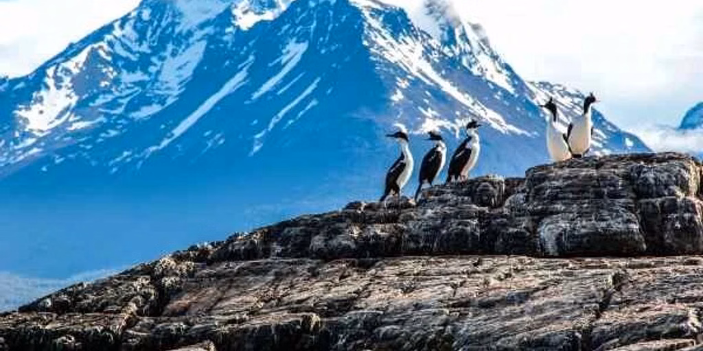 imagem capa do post Ushuaia: quando ir, pinguins, neve e dicas
