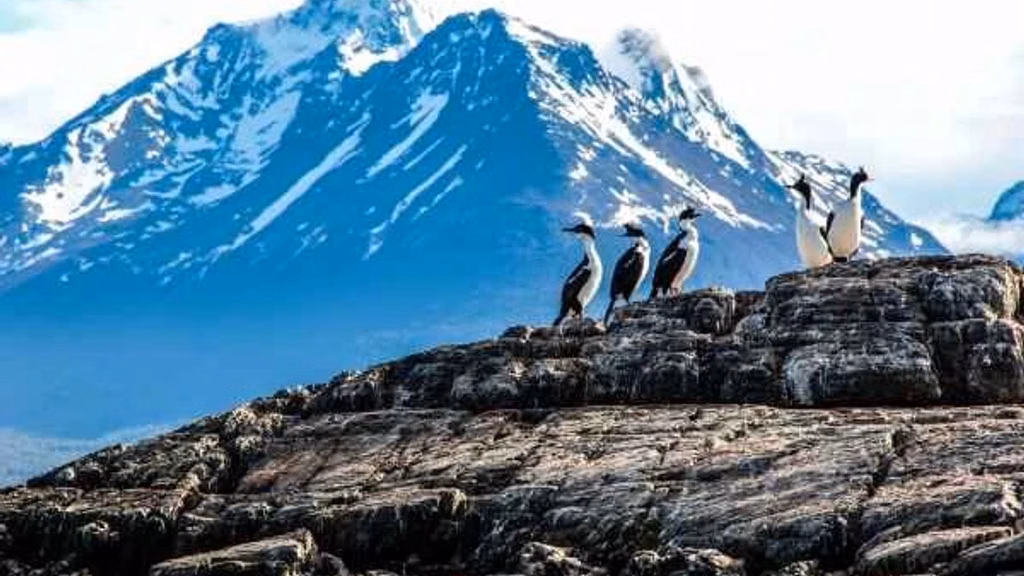 imagem capa do post Ushuaia, Argentina: guia completo da cidade do fim do mundo