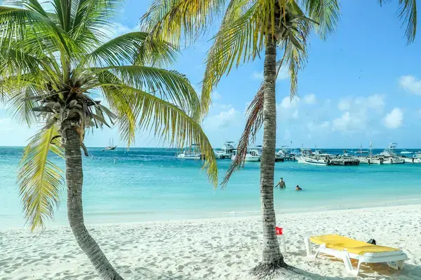Dois coqueiros inclinados em praia de areia branca com mar calmo em Aruba