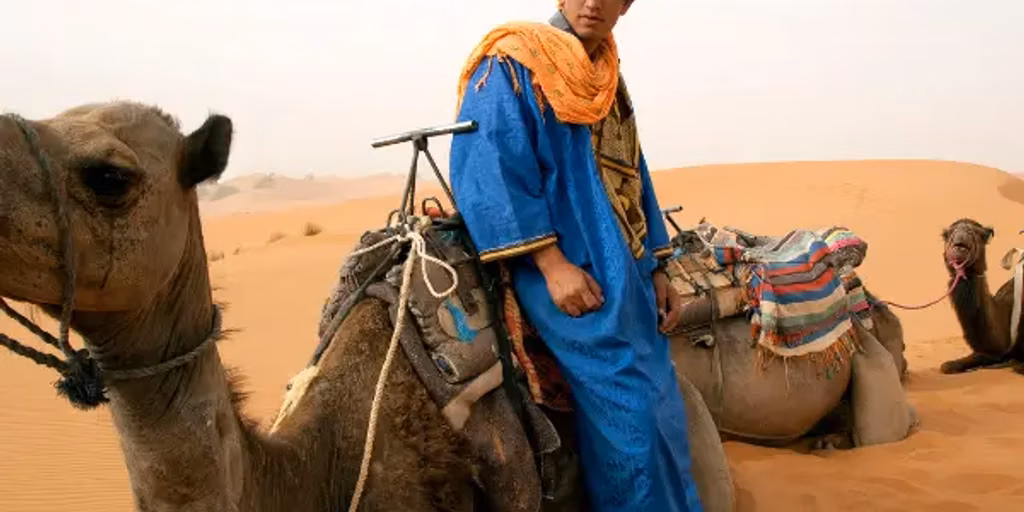 imagem capa do post Deserto do Saara: Guia Completo de Viagem